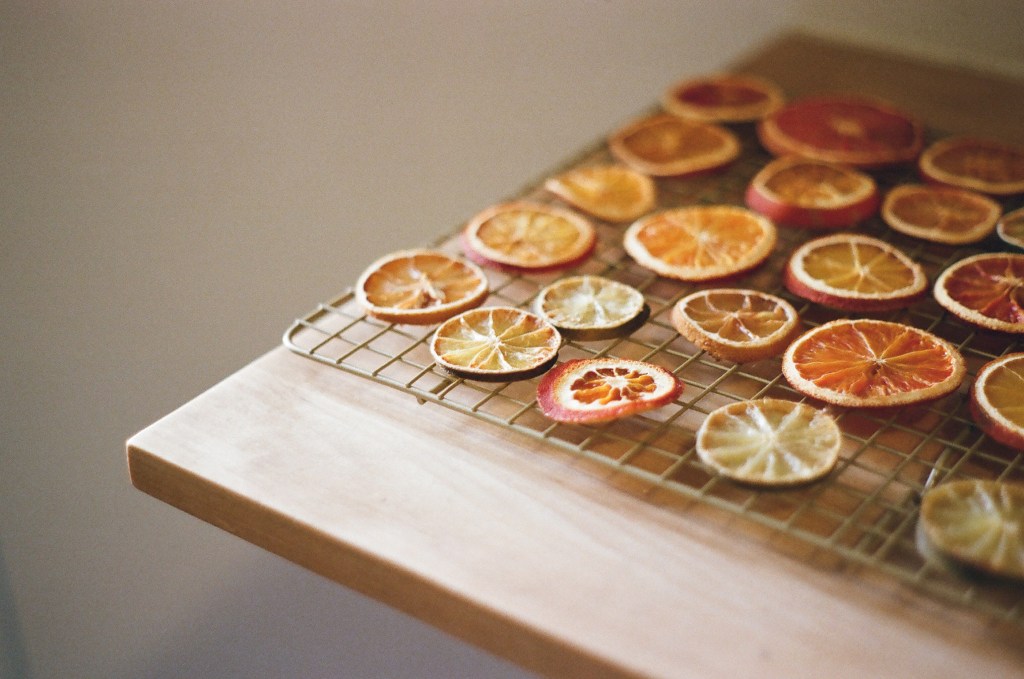 Late Fall and Early Winter&nbsp;2024