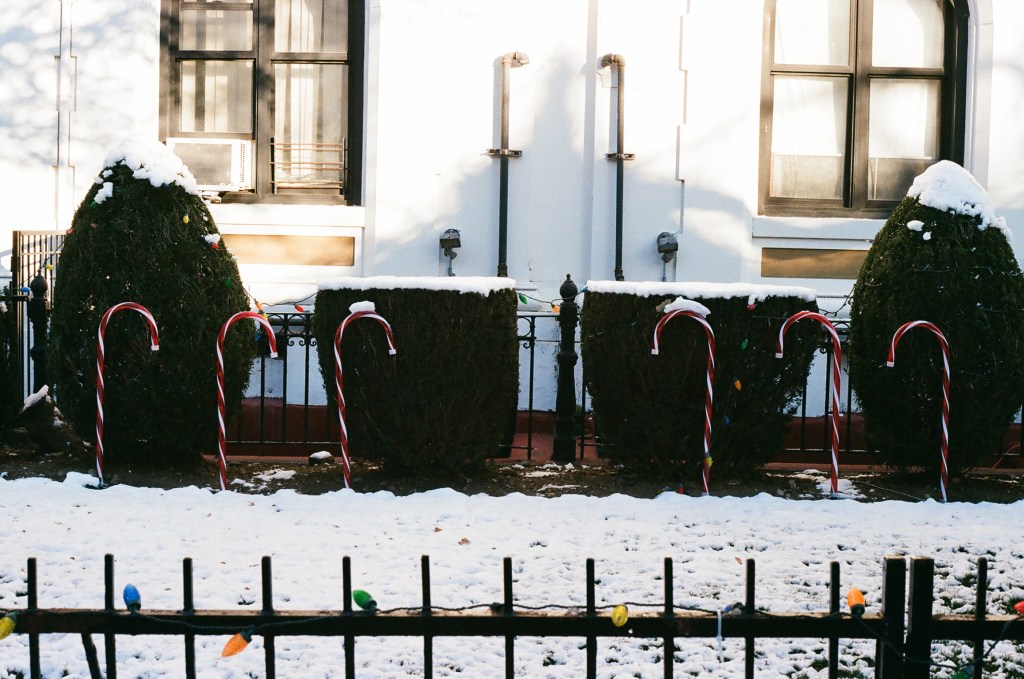 The front of an apartment building with snow on the ground and Christmas decorations during the day. A short metal fence is with colorful Christmas lights is visible along the bottom of the frame. Across the center are large light-up candy canes, stuck into the ground in front of manicured topiaries that also have snow on them. The apartment building is white with black accents.