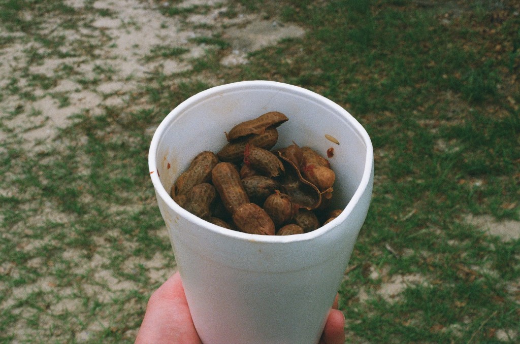 A styrofoam cup of cajun boiled peanuts, complete with visible red pepper flakes, is held out by a white person's hand. The background is scrubby grass and sand.