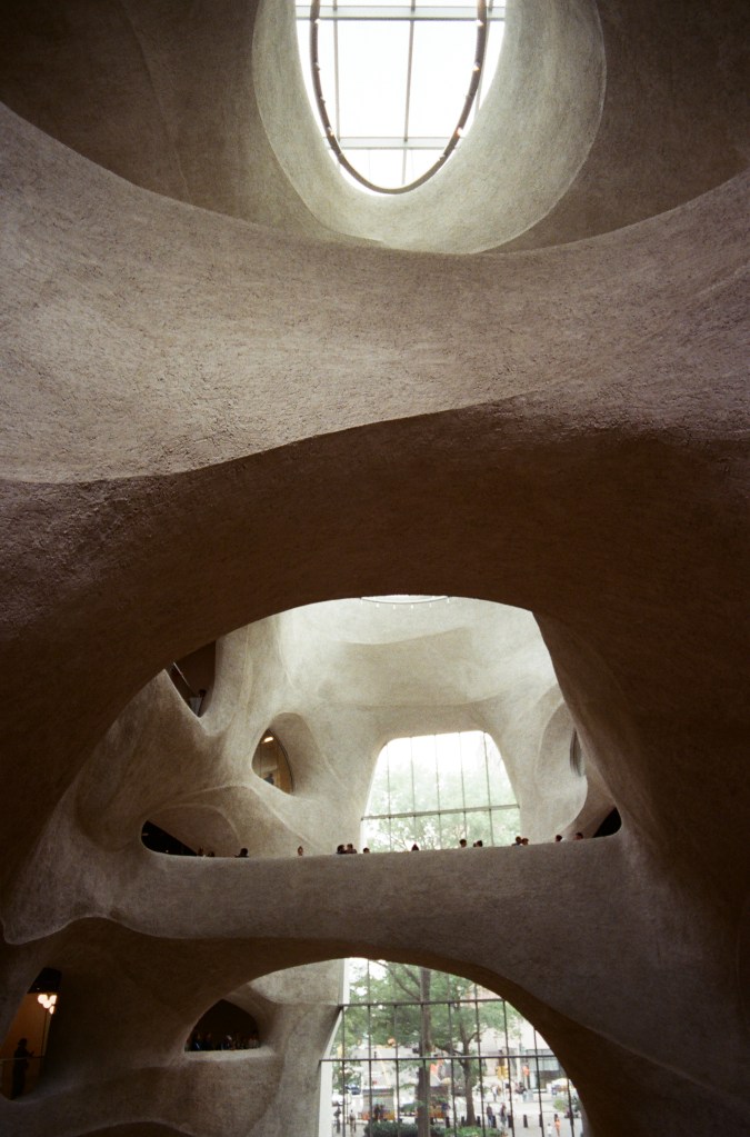 Interior of the Gilder Center at the American Museum of Natural History, which mimics a hive.