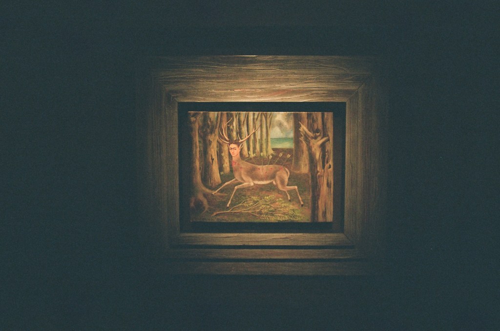 A dark photo of a painting by Frida Kahlo, a self-portrait as a wounded deer.